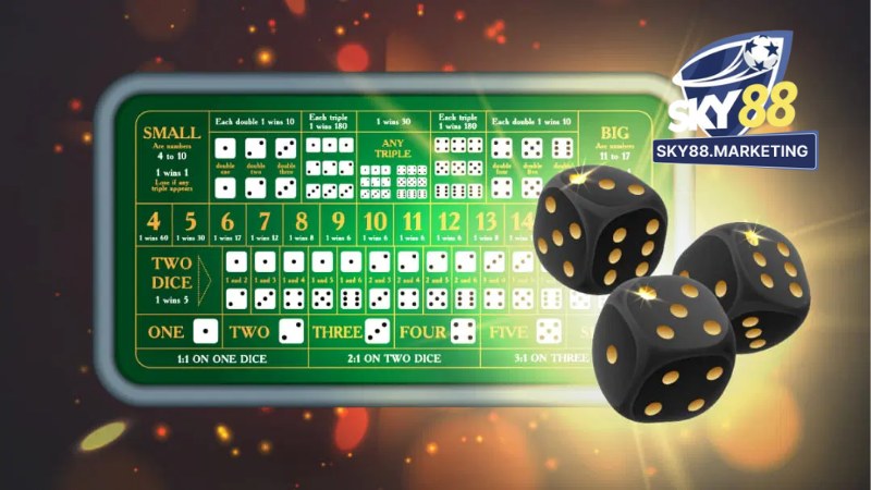 Giới Thiệu Về Sky88